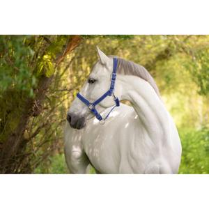 Cob-Halfter 2 Einstellungen Kerbl mustang image-2