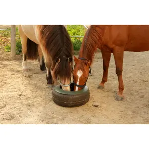 Tire feeder for horses Kerbl image-1
