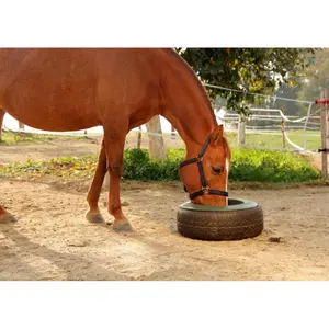 Tire feeder for horses Kerbl image-2