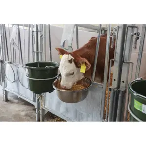 Edelstahlbecken Kerbl image-2