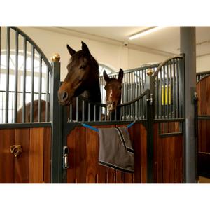 Riding saddle pad holder Kerbl image-2