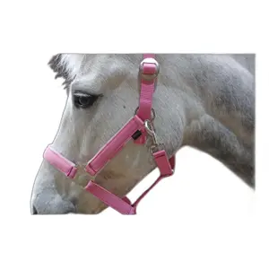 Halfter mit Shetty-Longe Kerbl lilli starlight image-5