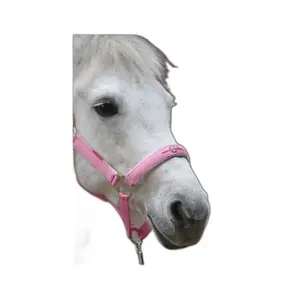 Halfter mit Shetty-Longe Kerbl lilli starlight image-4