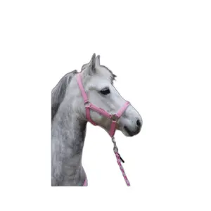 Halfter mit Shetty-Longe Kerbl lilli starlight image-2