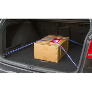 Extenseur élastique 8 bras Kerbl image-3