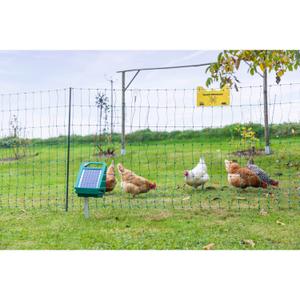 Set für Solar-Elektrozaun Kerbl PoultryNet All-In-One image-3