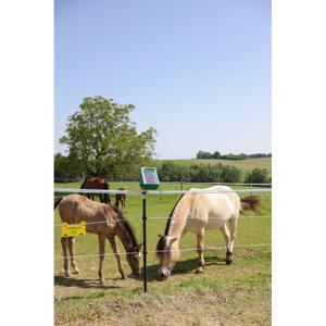 Ruban Kerbl PlatinumLine image-2