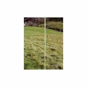 Aisladores para cercados eléctricos Kerbl Master Clips (x25) image-1