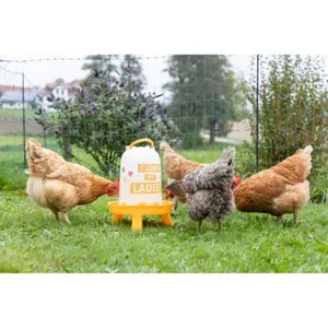 Abreuvoir plastique avec pieds Kerbl image-4