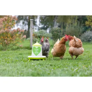 Mangeoire automatique avec pieds Kerbl image-1