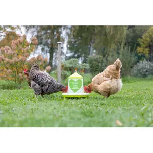 Mangeoire automatique avec pieds Kerbl image-2