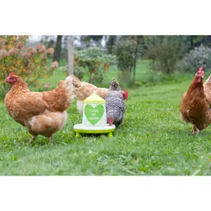 Mangeoire automatique avec pieds Kerbl image-3