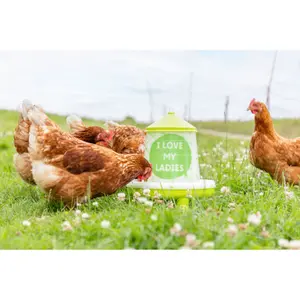 Automatisk indføring med fødder Kerbl image-2