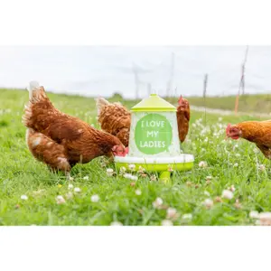 Automatisk indføring med fødder Kerbl image-4