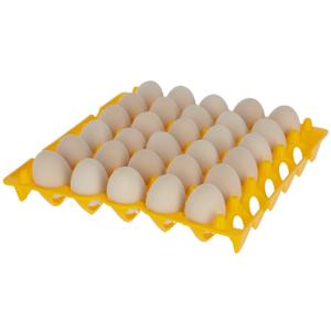 Trays for 30 eggs pp Kerbl image-1