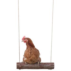 Chicken swing Kerbl image-4