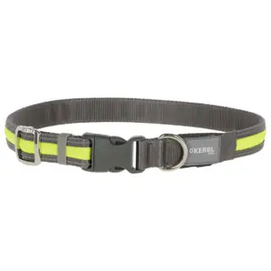 Collier pour chien lumineux Kerbl Light&Reflex image-0