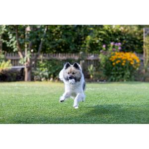 Ball to be thrown/returned Kerbl E-TPU image-2