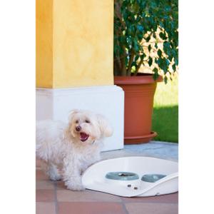 80514-double-bowl-kerbl-white-blue-300x250-ml