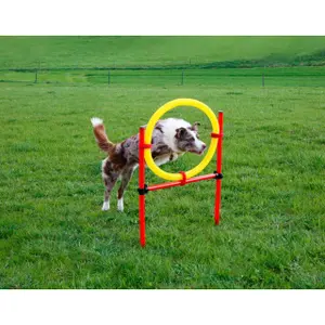 Complete kit Kerbl Agility image-1