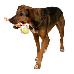Ball with rope for cotton dog Kerbl (x1) image-1
