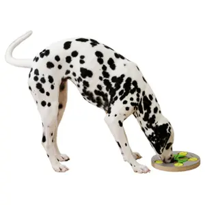 Puzzle/learning dog game Kerbl Switch image-2