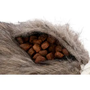 Learning roller Kerbl image-2