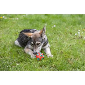 Jouet pour chien Kerbl Rugby ToyFactic image-3