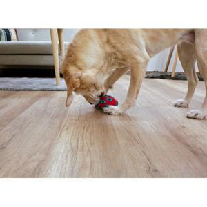 Jouet pour chien Kerbl Rugby ToyFactic image-4