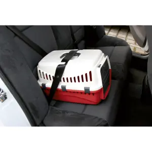 Hund und Katzen Transportbox Kerbl Expedion image-4