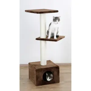 Kattenboom Kerbl Venus image-2