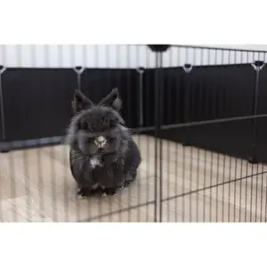 6 plastelement för kapslingar Kerbl image-3