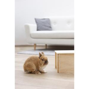 Abri pour rongeurs Kerbl image-3