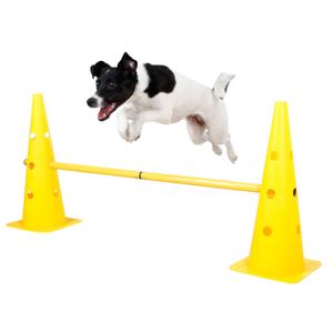 Jouet pour chien d'obstacle Kerbl Agility image-2