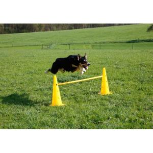 Jouet pour chien d'obstacle Kerbl Agility image-3