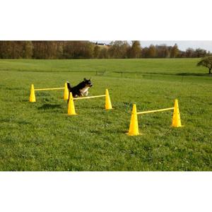 Jouet pour chien d'obstacle Kerbl Agility image-4
