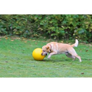 Play ball for dogs Kerbl PP image-2