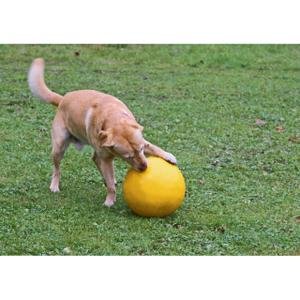 Play ball for dogs Kerbl PP image-3