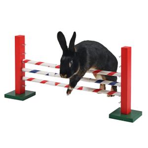 Obstacle in height rodents Kerbl Agility image-2