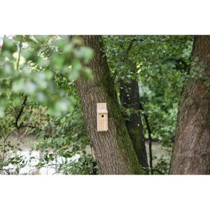 Chickadee boxes Kerbl image-3