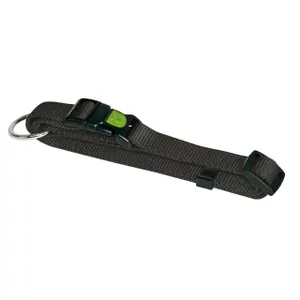 Collier pour chien Kerbl Miami image-0