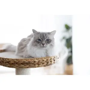 Arbre à chat Kerbl Banana Leaf image-4