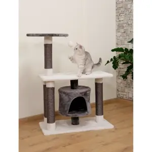 Kattenboom Kerbl Jade Darklight image-3