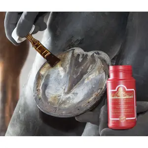 Balsam koński do kopyt Kevin Bacon's image-1