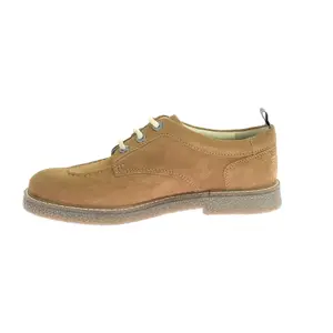 Derby Kickers Levy image-2