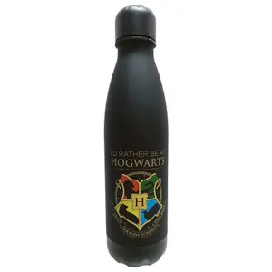 Water Bottle Kids Licensing Harry Potter Hogwart