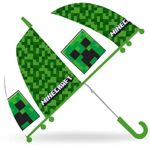 Manual umbrella Kids Licensing Minecraft manual image-0