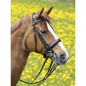 Podwójne ogłowie Kieffer Ergonomic Line II image-3