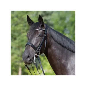 Double bridle Kieffer Comfort Lyon image-0