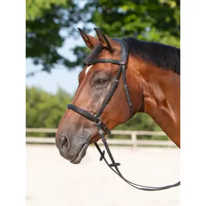 Gebisslose Trense für Pferde Kieffer Ultrasoft® Kendra buckles on both sides image-2